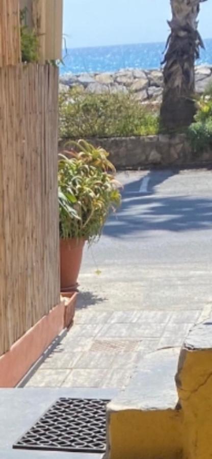 Frantoio