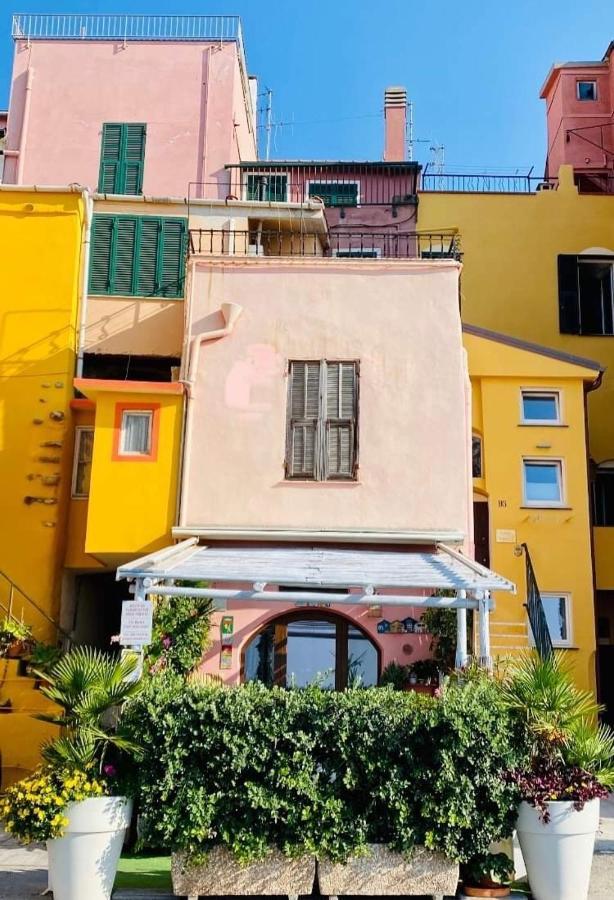 Apartment Frantoio *