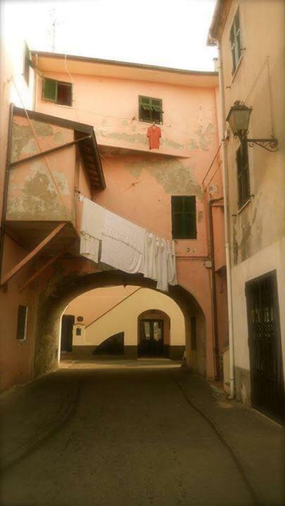 Frantoio Apartment